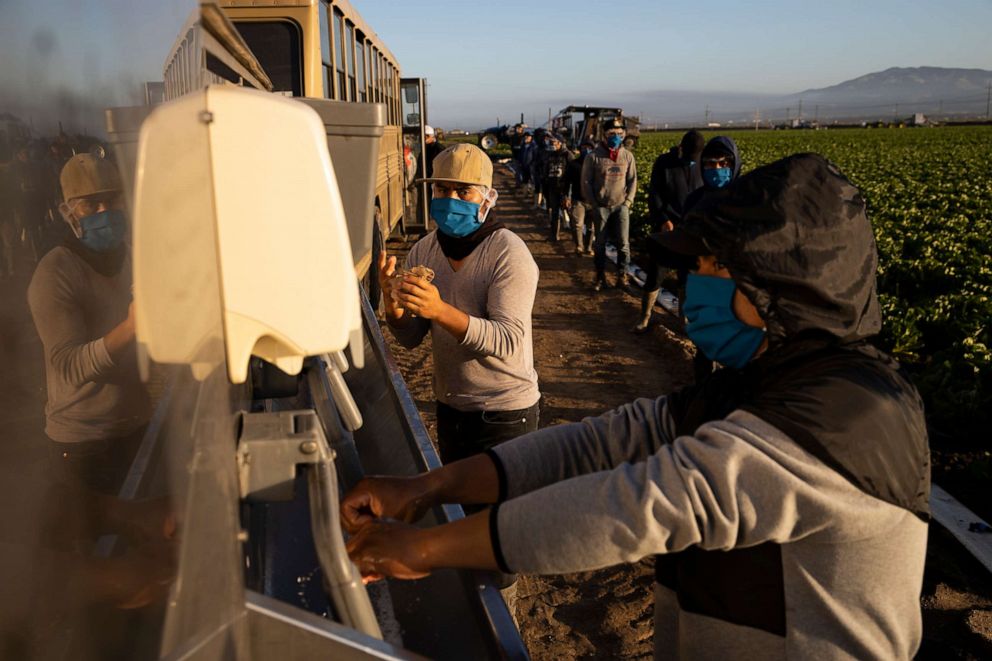 PHOTO: Farm laborers with Fresh Harvest wash their hands before work on April 28, 2020 in Greenfield, California.