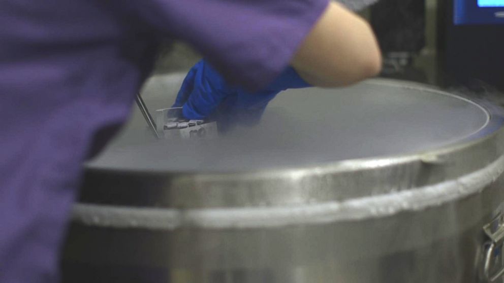 PHOTO: An embryologist removes frozen embryos from a cryogenic tank during the IVF process.