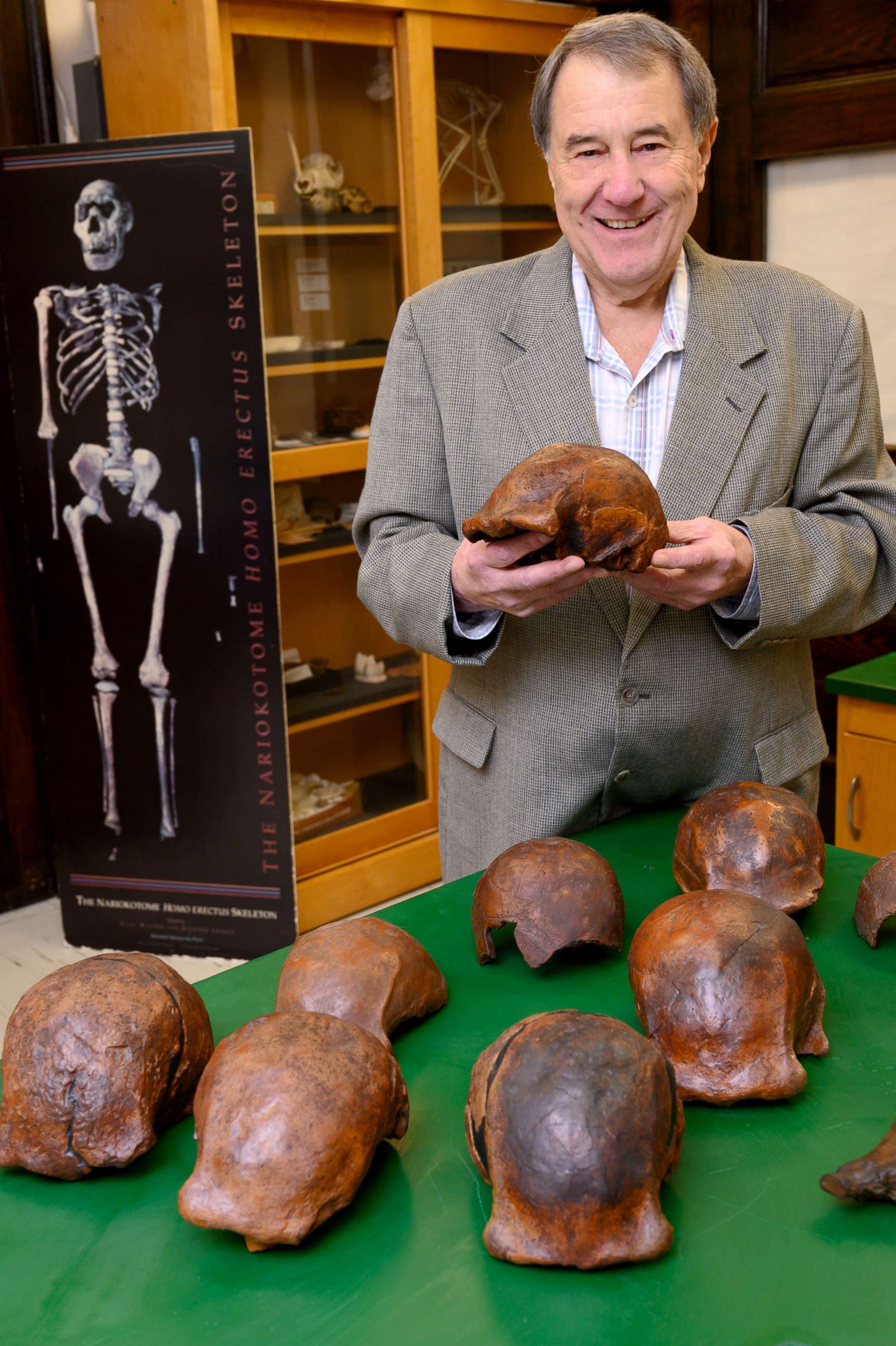 PHOTO: Palaeoanthropologist Russell Ciochon of the University of Iowa with a collection of Homo erectus fossil replicas from Ngandong.