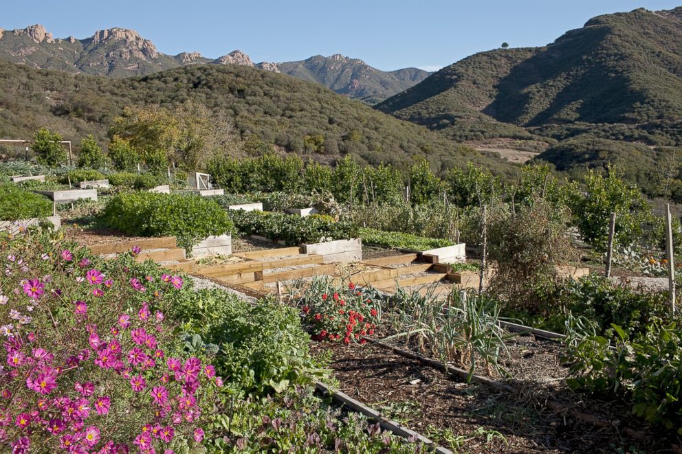 PHOTO: The Ranch Malibu's 200-acre property includes an organic garden.