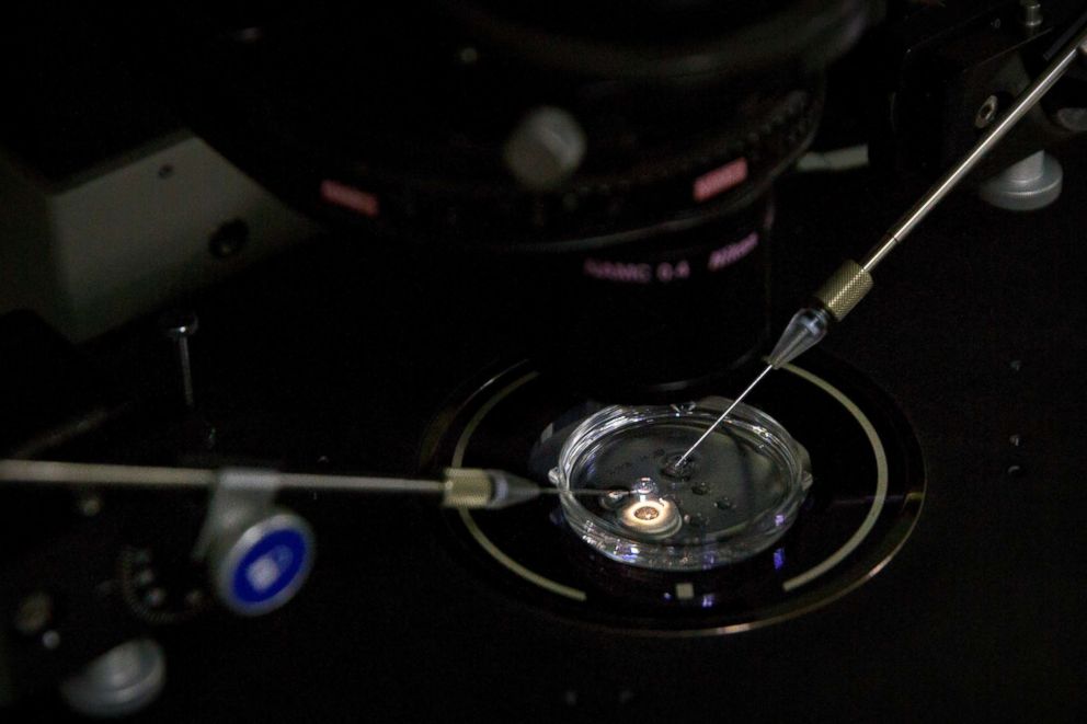 PHOTO: In this Oct. 9, 2018 photo, an embryo receives a small dose of Cas9 protein and PCSK9 sgRNA in a sperm injection microscope in a laboratory in Shenzhen in southern China's Guangdong province.