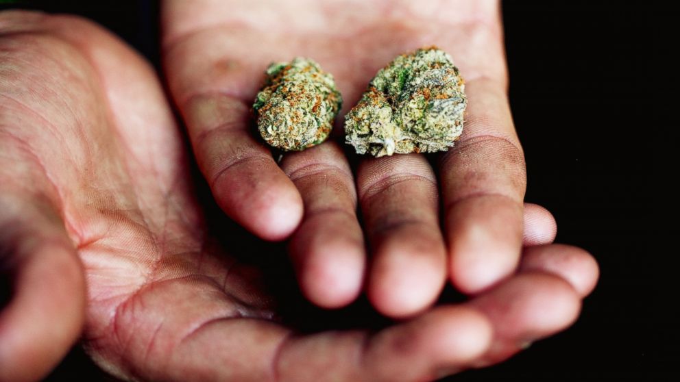 A person holds marijuana in their hand in this undated stock photo.