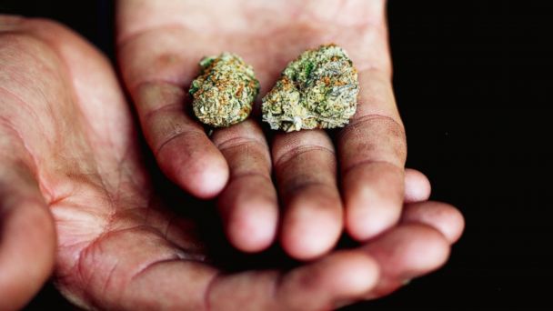 More than half of American adults have tried marijuana, poll finds - ABC  News