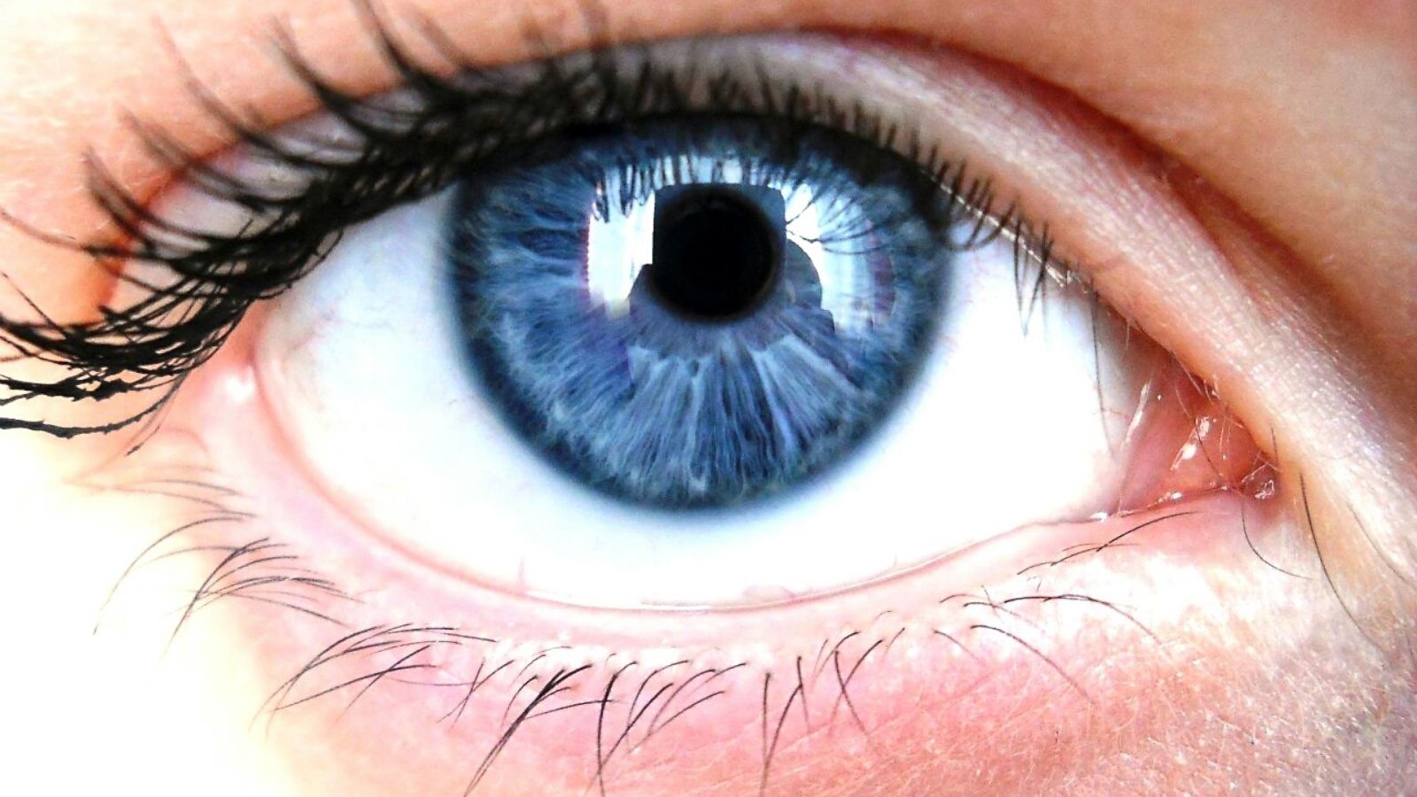 Possible Link Between Eye Color and Alcoholism Risk Revealed in