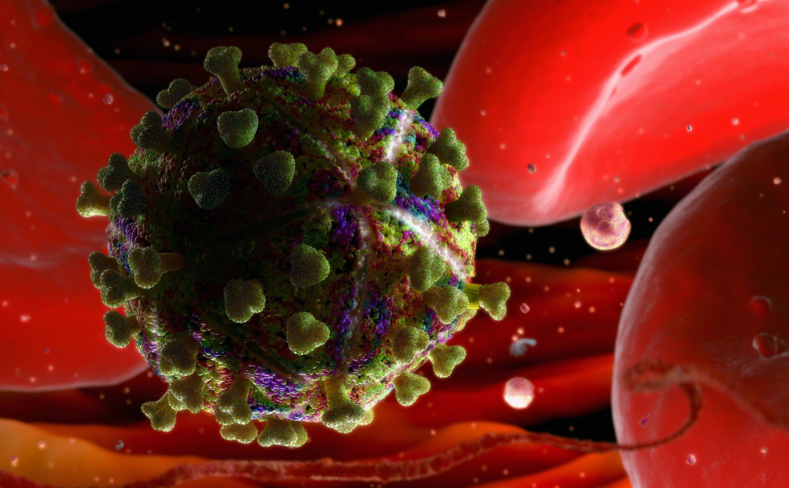 PHOTO: A depiction of the HIV virus in the bloodstream.