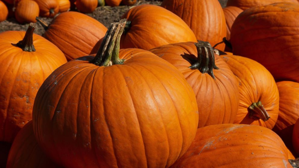 Pumpkins are a healthy fall treat. 