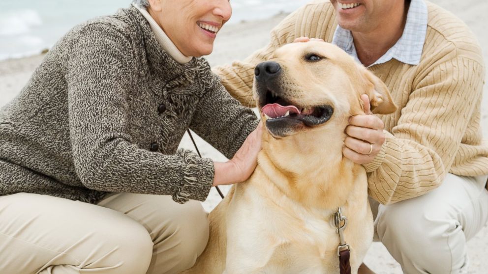 Researchers say that owning a dog can reduce stress and increase your activity levels.