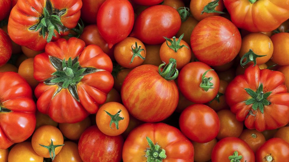 A selection of tomato varieties is seen in this stock photo. 