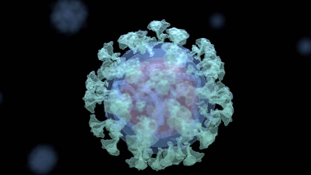 PHOTO: Coronavirus Delta Plus Covid-19 variant called  AY.4.2