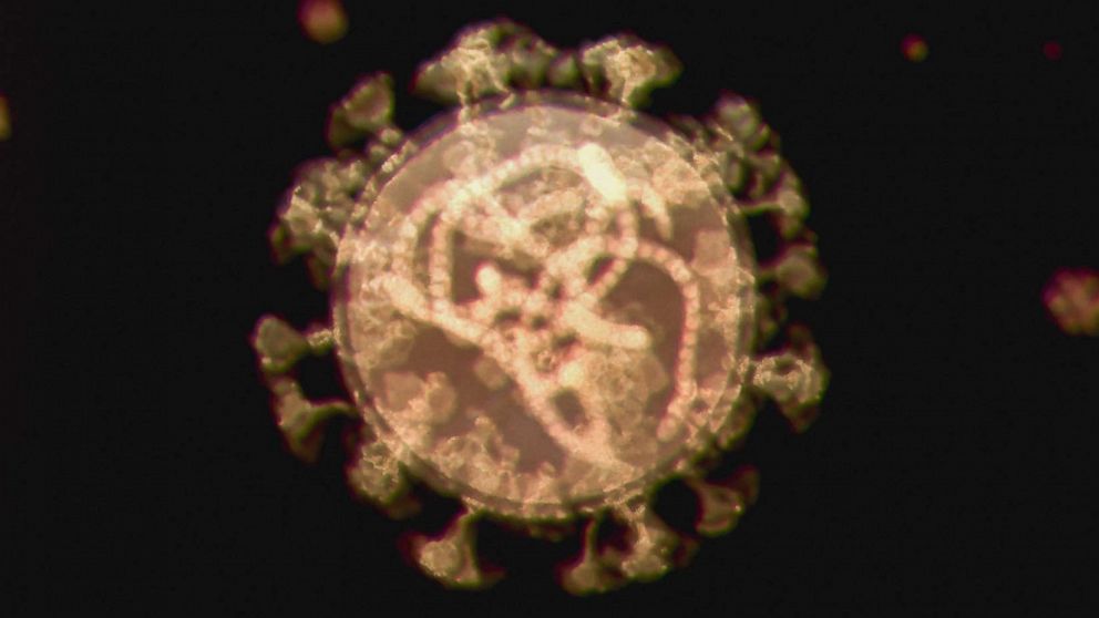 PHOTO: Omicron or B.1.1.529 Coronavirus the new variant of concern by WHO.