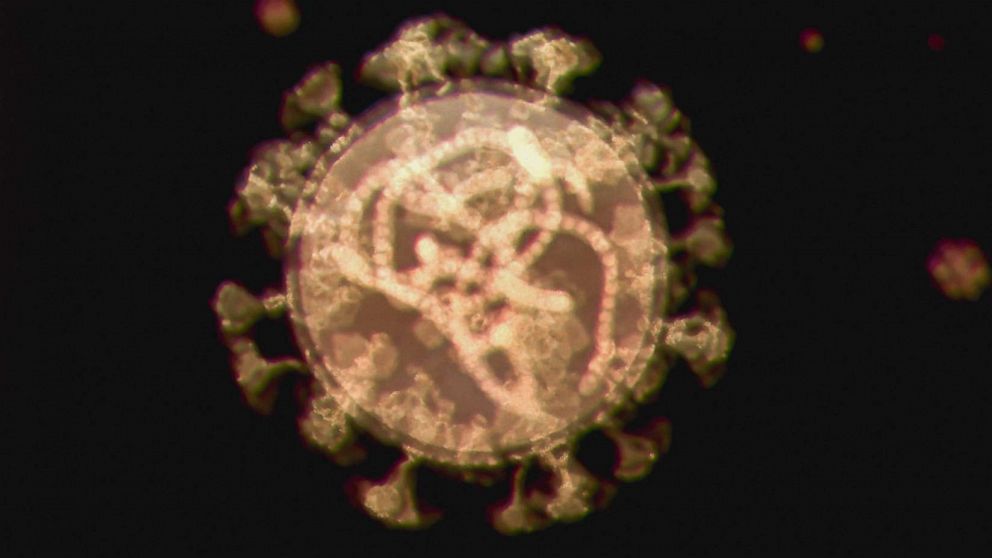 PHOTO: Omicron or B.1.1.529 Coronavirus the new variant of concern by WHO.