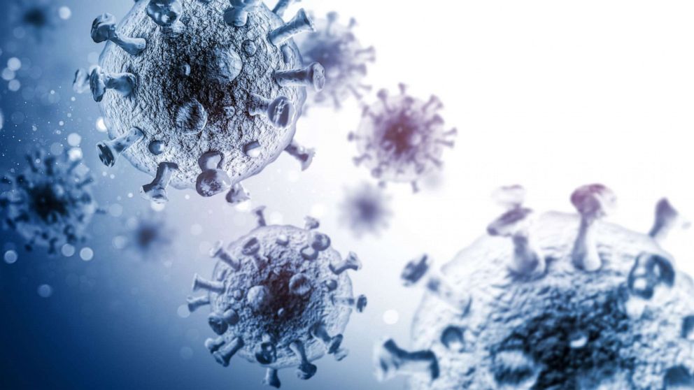 PHOTO: A viral infection is seen in an undated stock image.