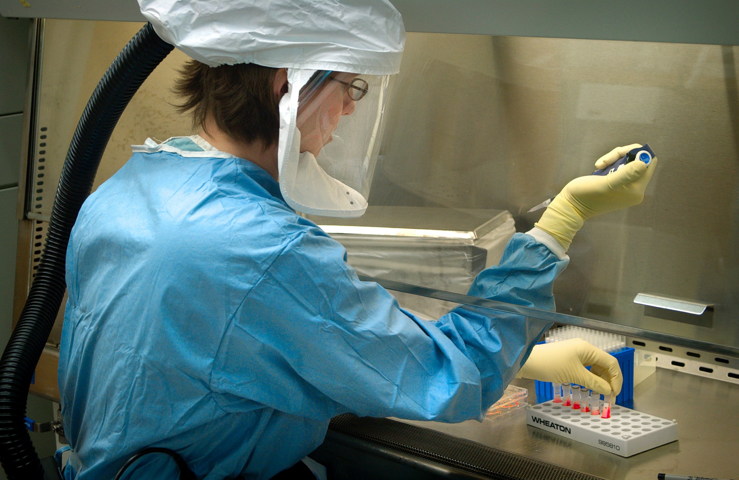 PHOTO: This undated photograph shows a CDC scientist pipetting specimens in the Biosafety Level 4 Influenza Laboratory, Atlanta, GA. 

