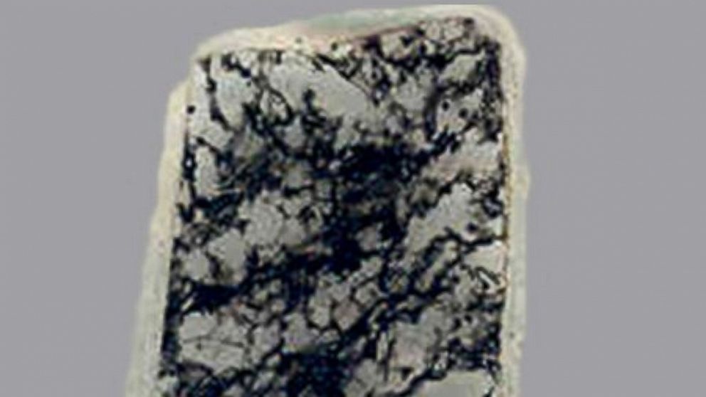 A section of a 2.3 billion-year-old fossil-bearing rock. The fossils (the dark areas) are essentially identical to ones that are 500 million years younger, and to modern microorganisms that live in seawater mud.