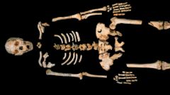 'Pit of Bones' Yields Oldest Known Human DNA - ABC News