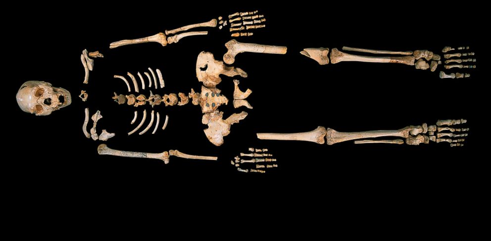 'Pit of Bones' Yields Oldest Known Human DNA - ABC News