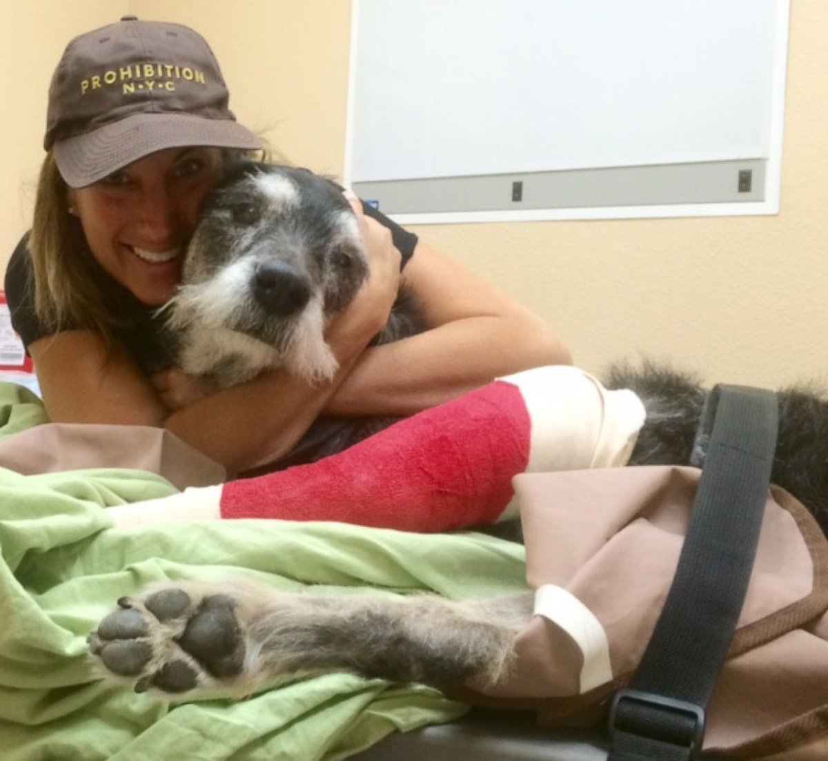 PHOTO: Ike, a dog in Hawthorne Calif. who is battling cancer, is seen with his owner Risa in this undated handout photo.