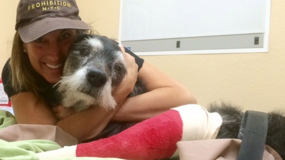 PHOTO: Ike, a dog in Hawthorne Calif. who is battling cancer, is seen with his owner Risa in this undated handout photo.