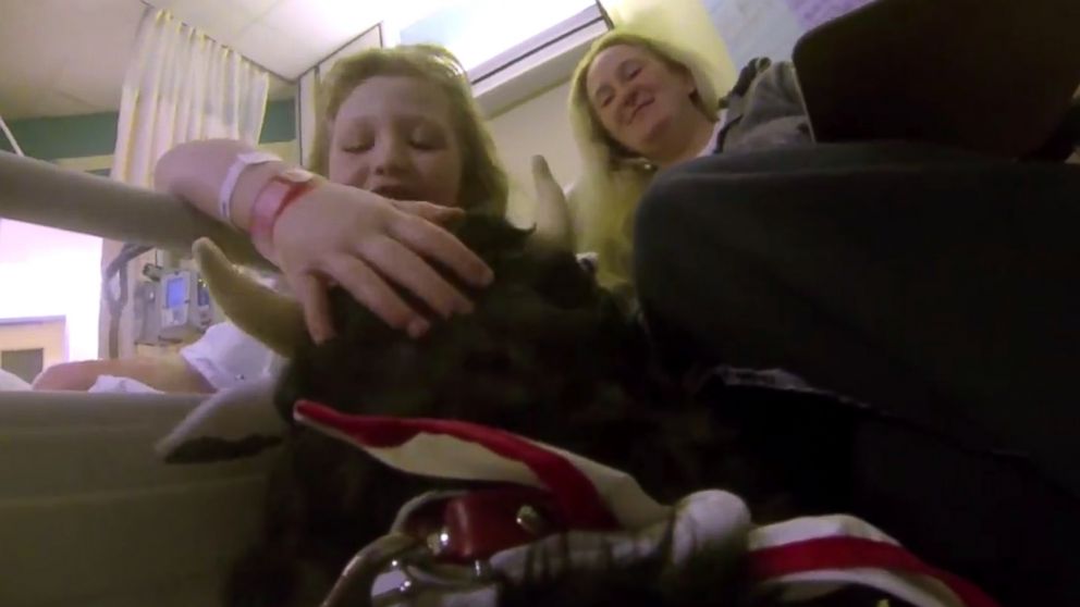 PHOTO: A patient greets Moxie as she makes her rounds around the Hospital for Sick Children in Toronto.