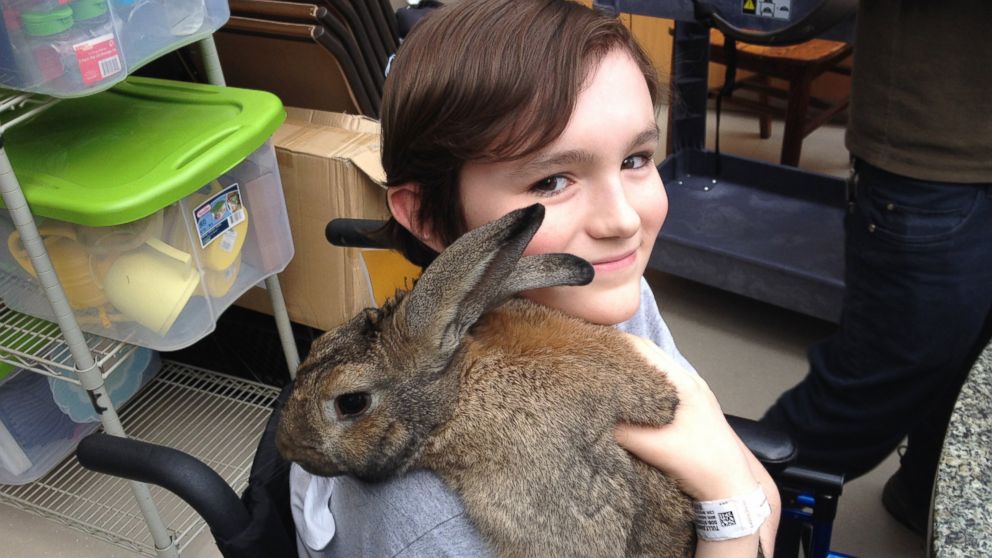 PHOTO: A 13-year-old NYU Langone patient, identified only as Dan, visited with Clovis the bunny.