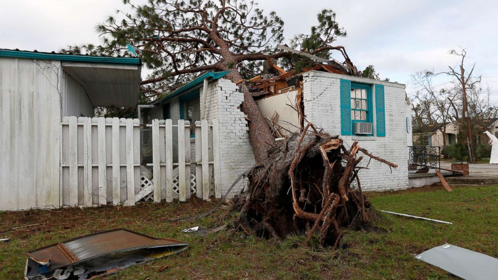 michael hurricane aftermath