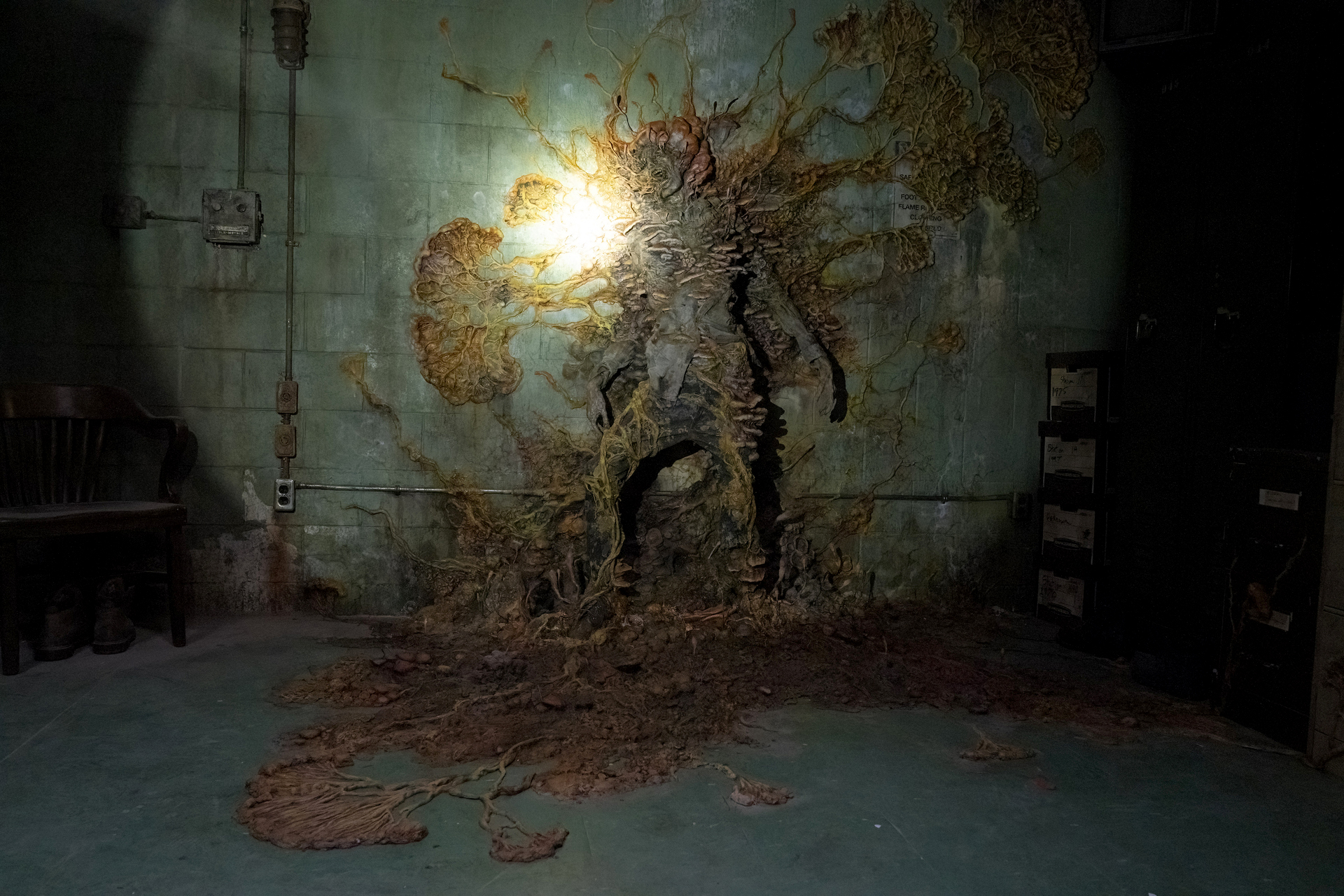 Zombie apocalypse: Fungus creating havoc in The Last of Us exists in real