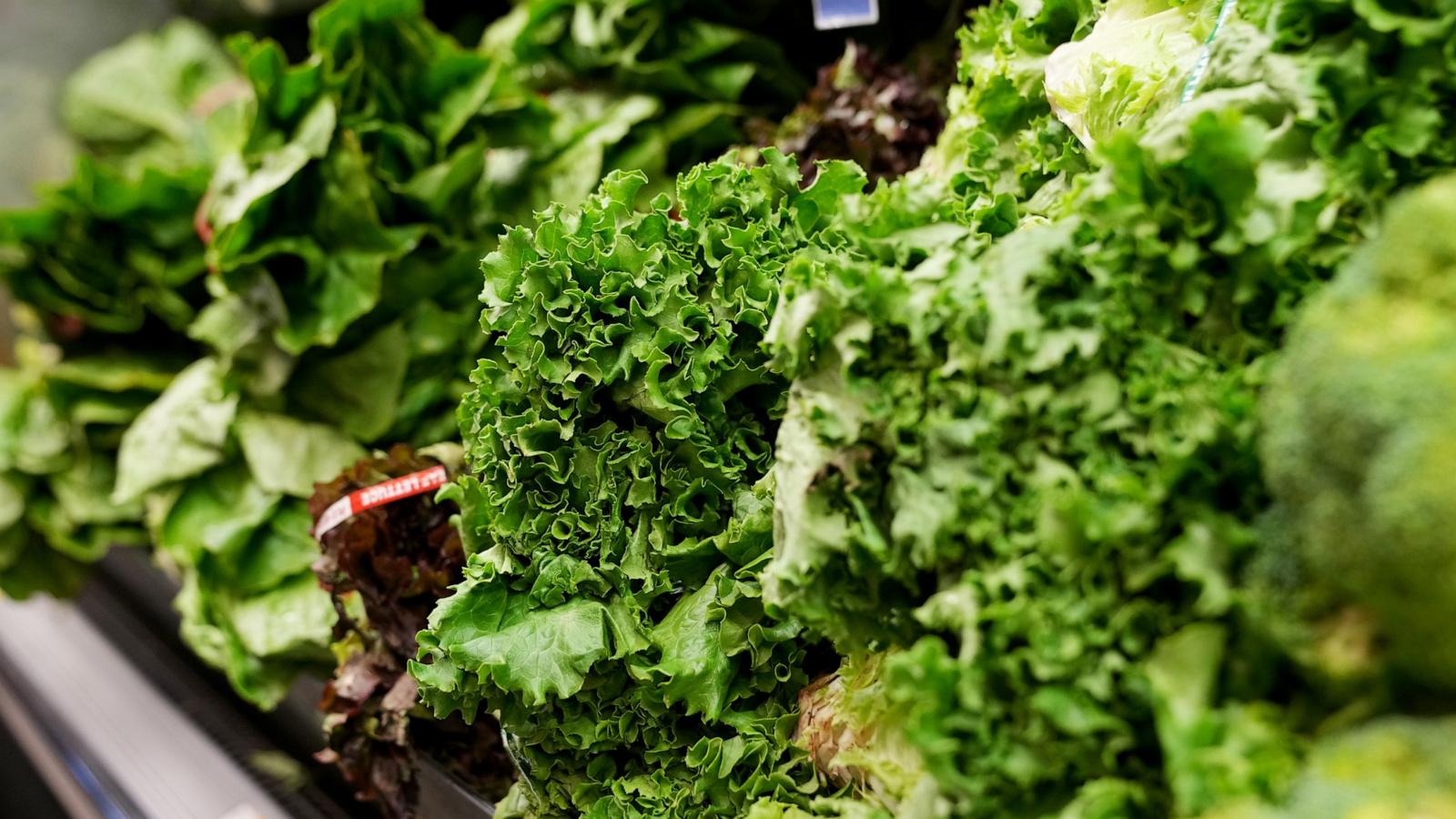 People can resume regular lettuce-eating habits, Michigan health officials say