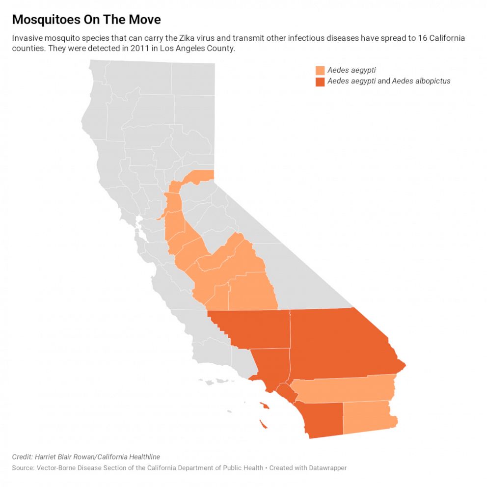PHOTO: Invasive mosquitoes have be found in 16 California counties.