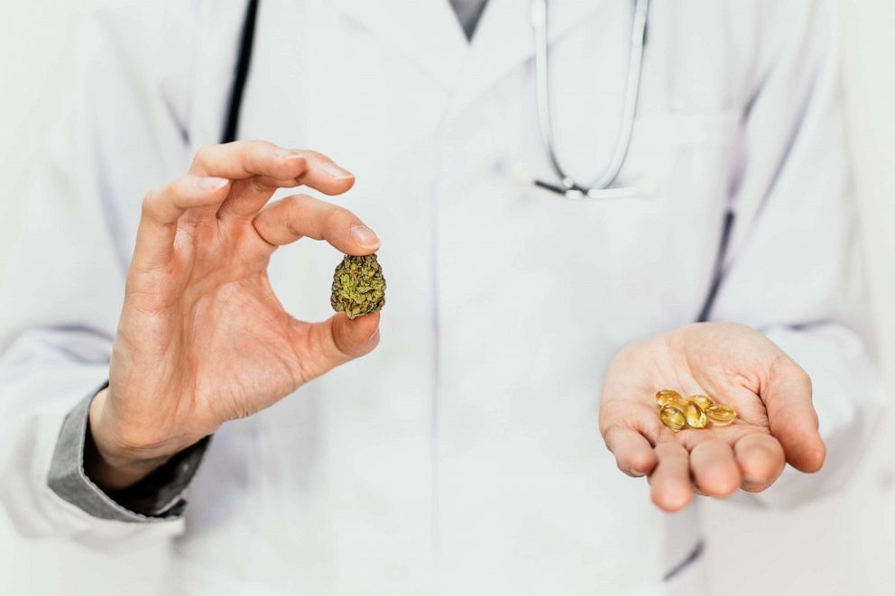 PHOTO: A doctor holds medical marijuana in one hand and pills in the other.