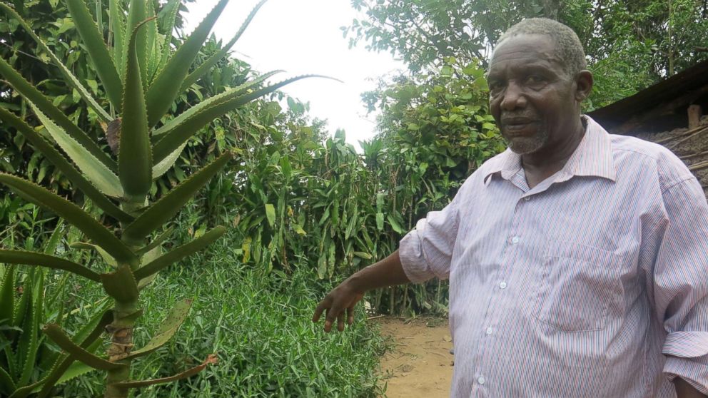 PHOTO: Seth Muhire, 77, has been a traditional healer for more than 40 years in the neighboring village of Busanza. Muhire shows ABC the herbs that he uses in his practice.
