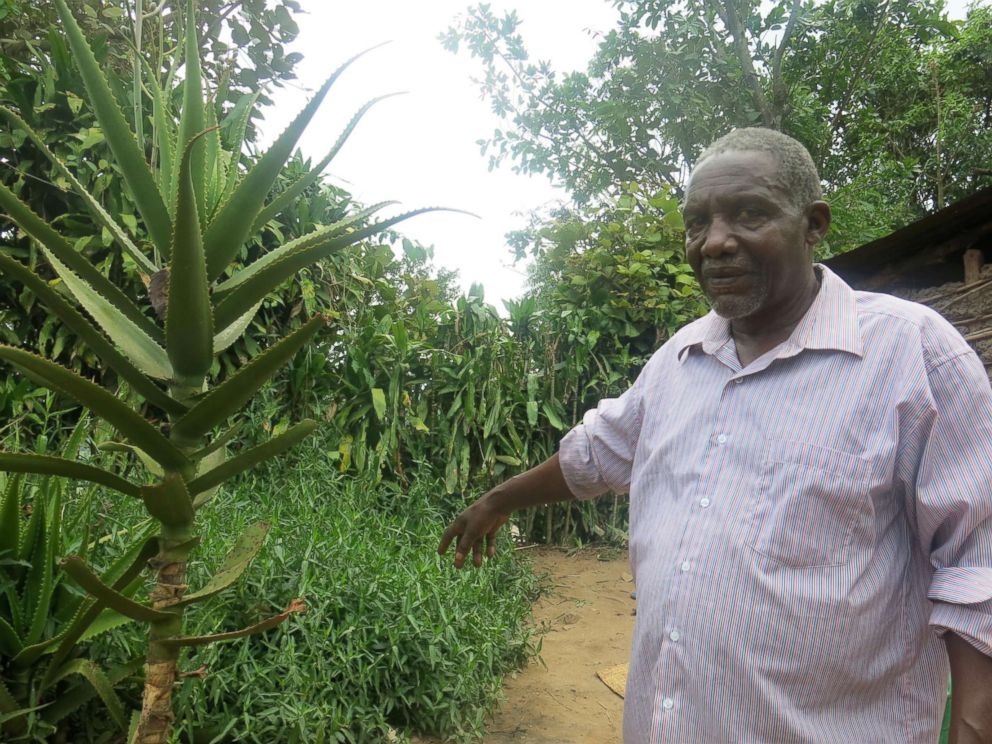 PHOTO: Seth Muhire, 77, has been a traditional healer for more than 40 years in the neighboring village of Busanza. Muhire shows ABC the herbs that he uses in his practice.