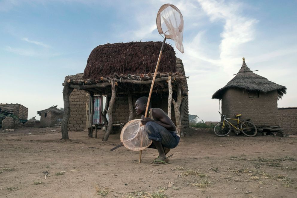 PHOTO: A young man holds a net in a village in Burkino Faso where genetically modified mosquitoes are being deployed in an effort to fight malaria.