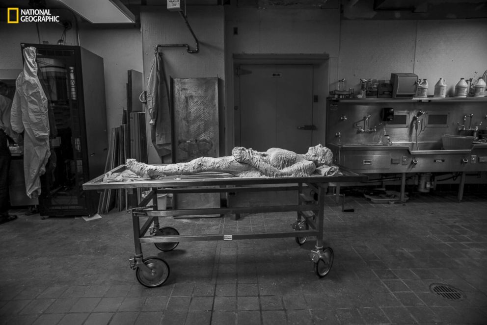 PHOTO: In the first phase of her life after death, Potter lay encased in polyvinyl alcohol in a lab, the prelude to being frozen at minus 15 degrees, sectioned into 27,000 slices, then resurrected as a digital cadaver.