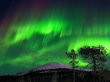 Forecast reveals where you might see the northern lights in the US this weekend