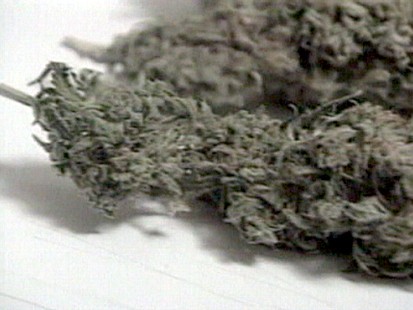 Marijuana