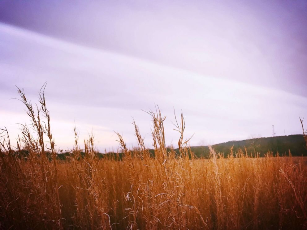 PHOTO: Wheat field in Oklahoma