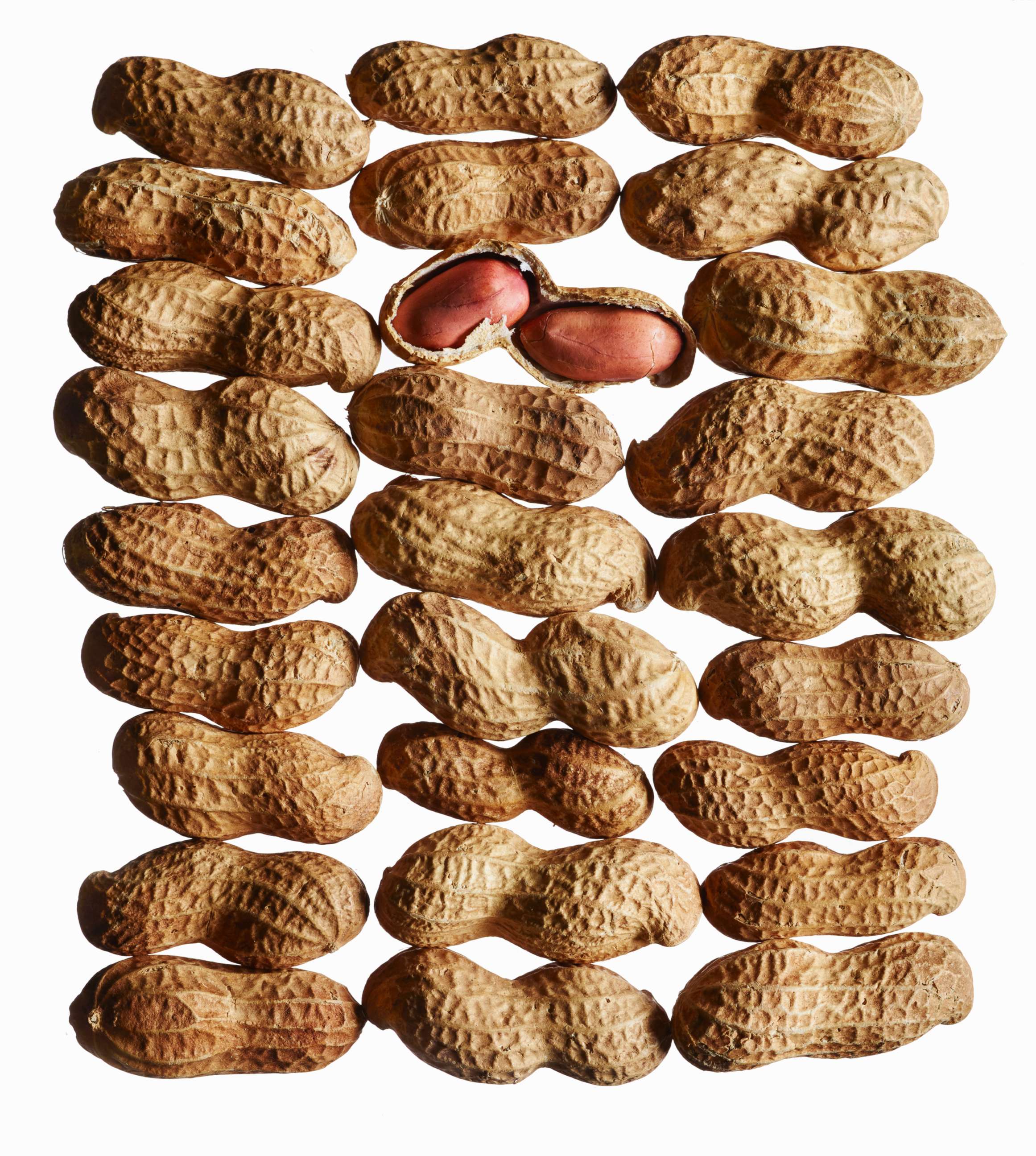 PHOTO: Peanuts are pictured in an undated stock photo.