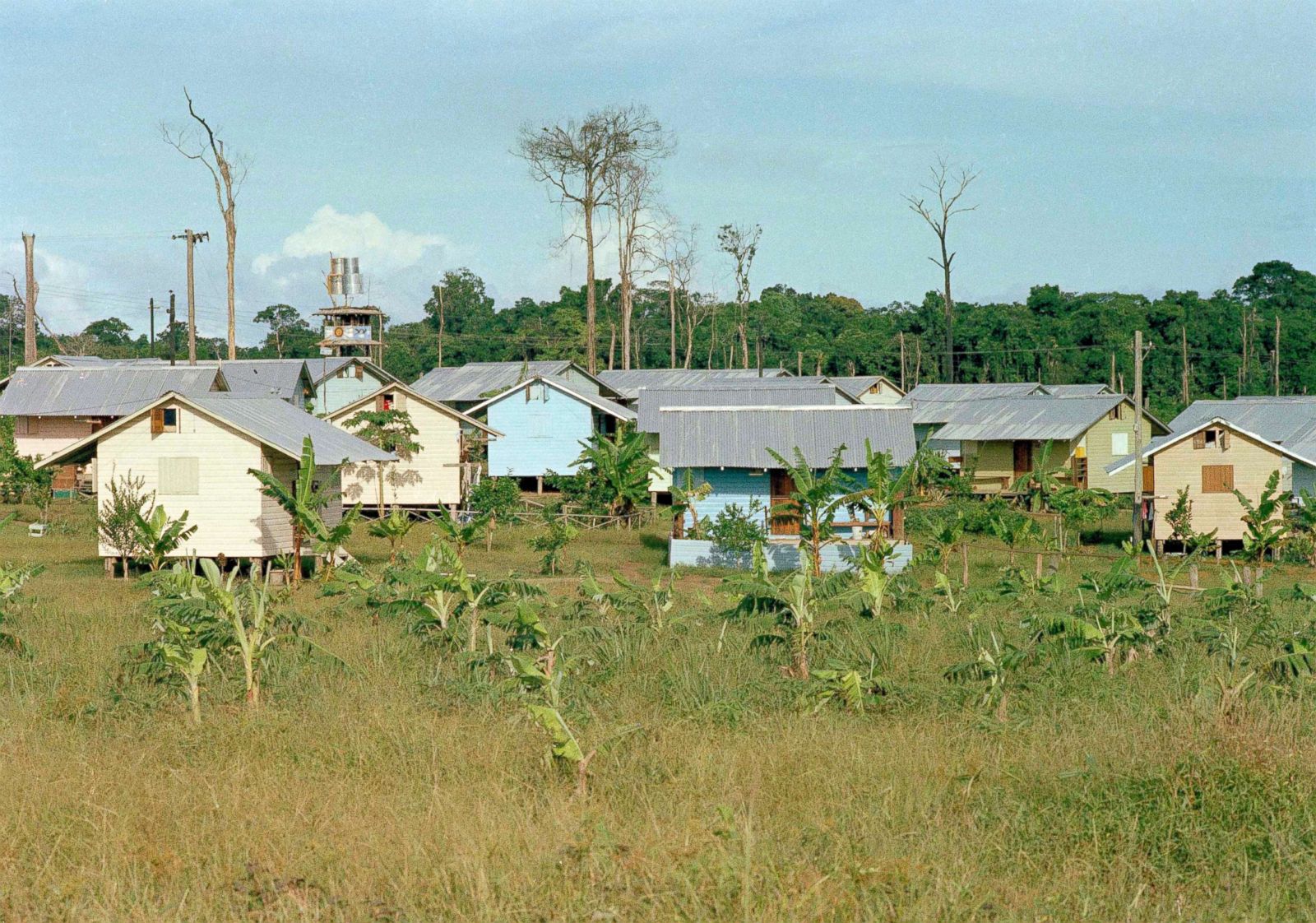 Looking back at the Jonestown tragedy Photos - ABC News