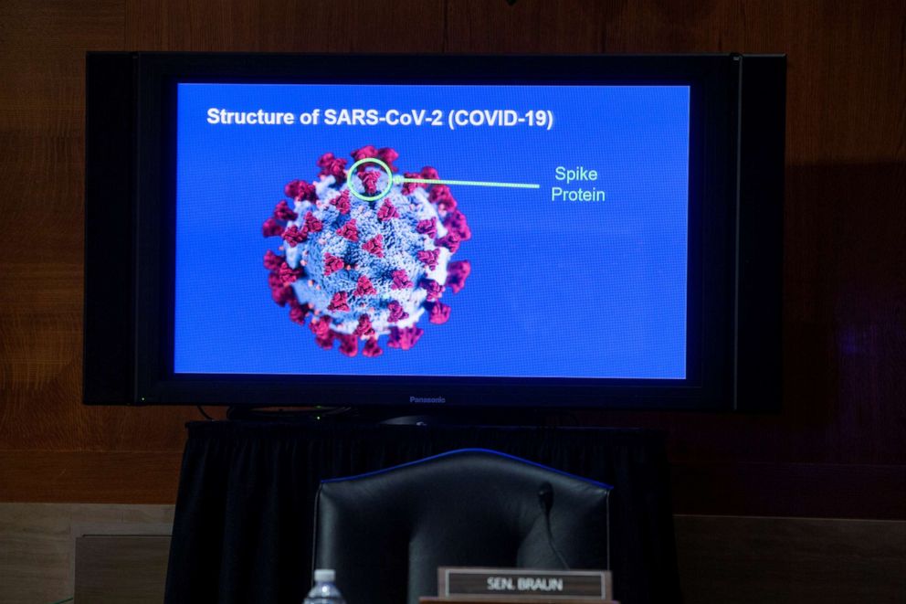 PHOTO: A monitor depicts the structure of SARS-CoV-2 during a Senate Health, Education, Labor and Pensions Committee hearing in Washington on Sept. 9, 2020.