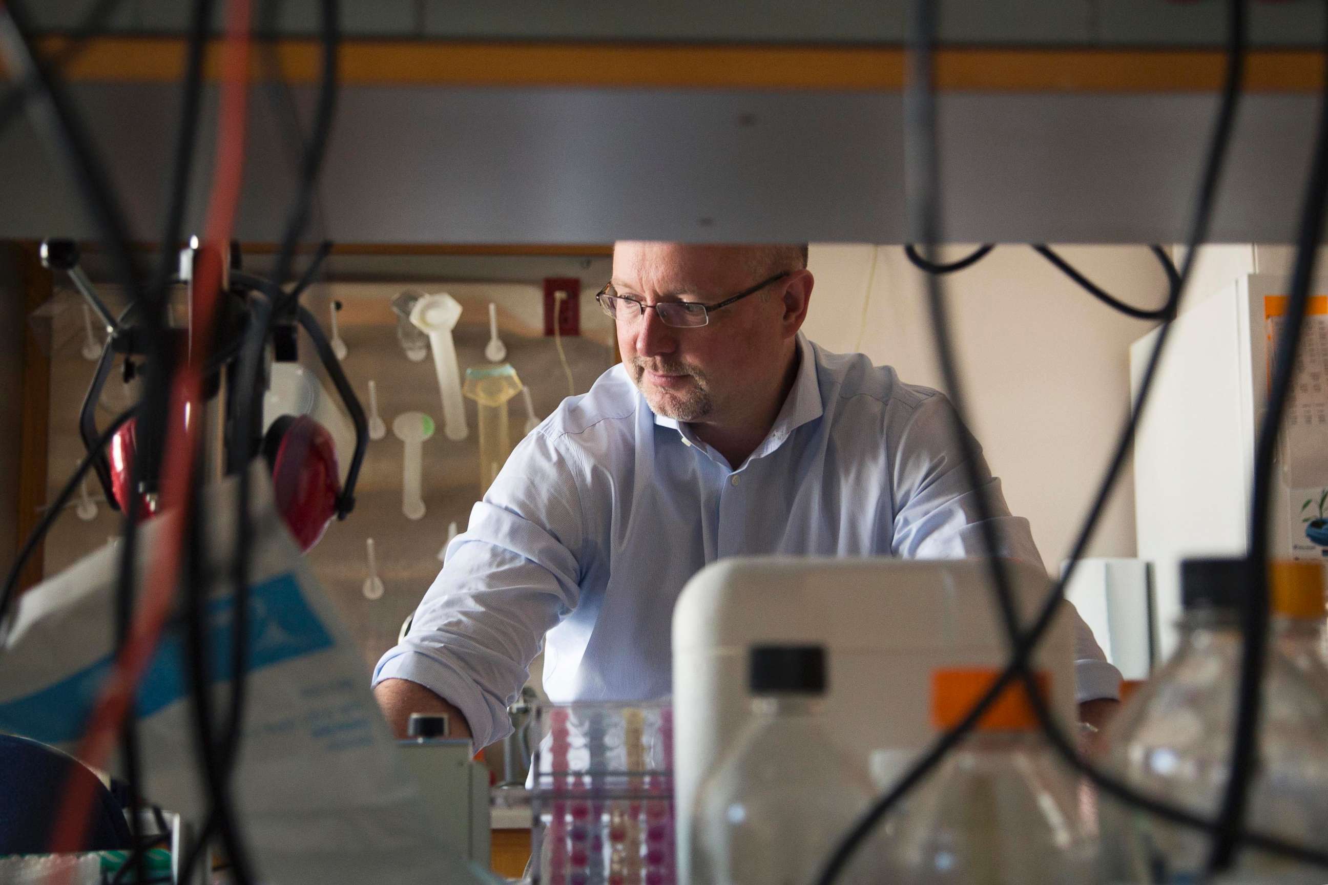 PHOTO:  This Aug. 8, 2013 photo provided by Duke University shows Dr. Matthias Gromeier at his laboratory at Duke in Durham, N.C. 