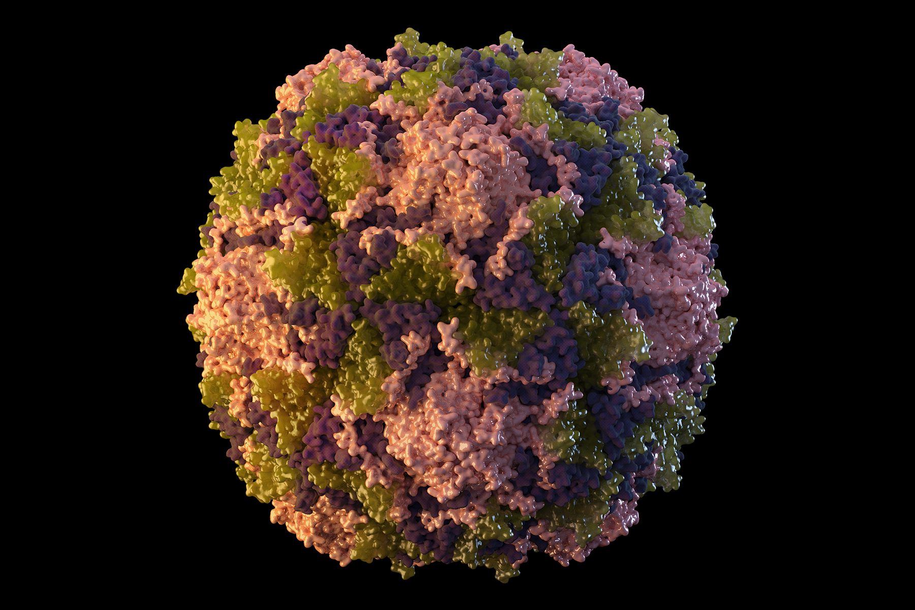 PHOTO: This 2014 illustration made available by the U.S. Centers for Disease Control and Prevention depicts a polio virus particle.