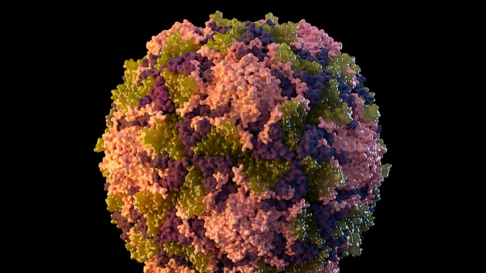 PHOTO: This 2014 illustration made available by the U.S. Centers for Disease Control and Prevention depicts a polio virus particle.