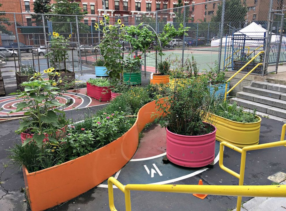 PHOTO: The PS/MS 7 summer garden in East Harlem, New York. The school served as a Regional Enrichment center for children of frontline workers during the coronavirus pandemic this summer.