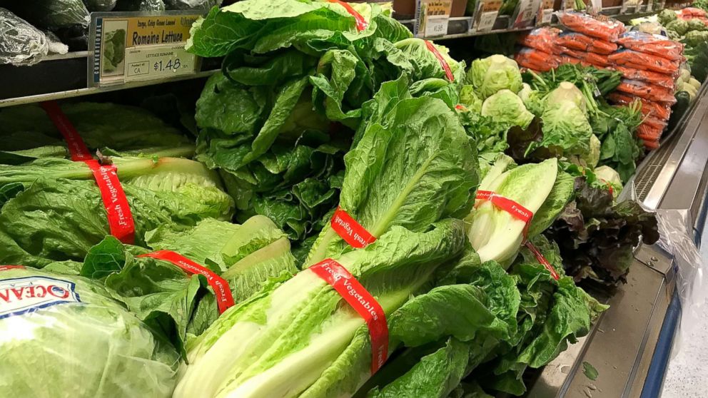 What to know about E. coli after the romaine lettucerelated outbreak