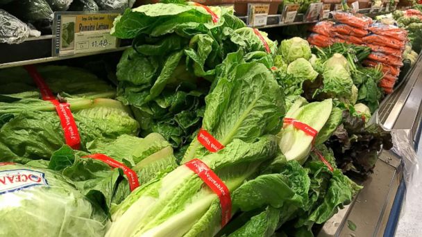 E Coli News Videos Abc News