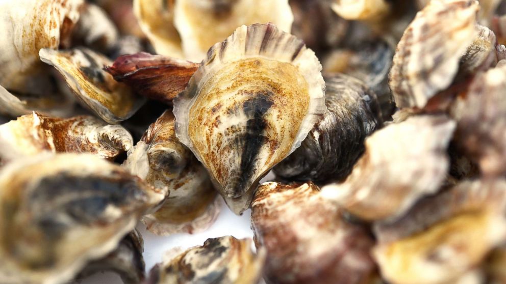 What seafood lovers need to know about the dangers of the ...