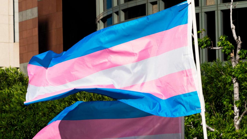 PHOTO: In this March 31, 2017, file photo, trans pride flags fly at a gathering to celebrate  International Transgender Day of Visibility in Los Angeles.