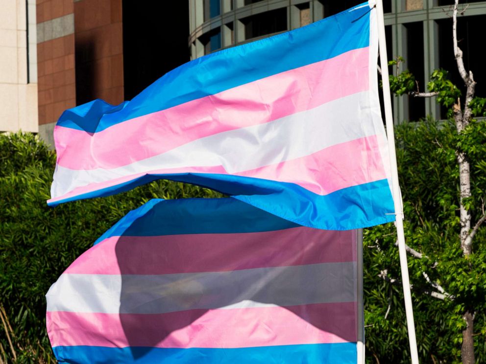 PHOTO: In this March 31, 2017, file photo, trans pride flags fly at a gathering to celebrate  International Transgender Day of Visibility in Los Angeles.