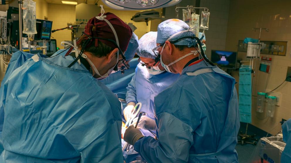 VIDEO: Recipient of 1st pig kidney transplant dies