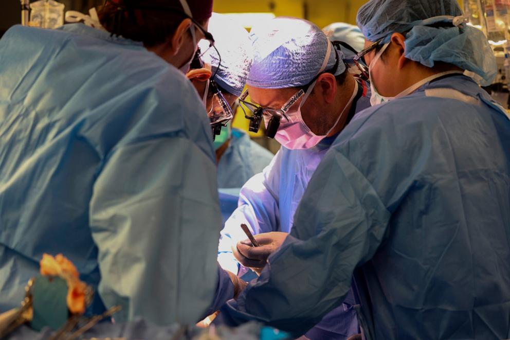 PHOTO: Massachusetts General Hospital says the procedure marks a major milestone in the quest to provide more readily available organs to patients.